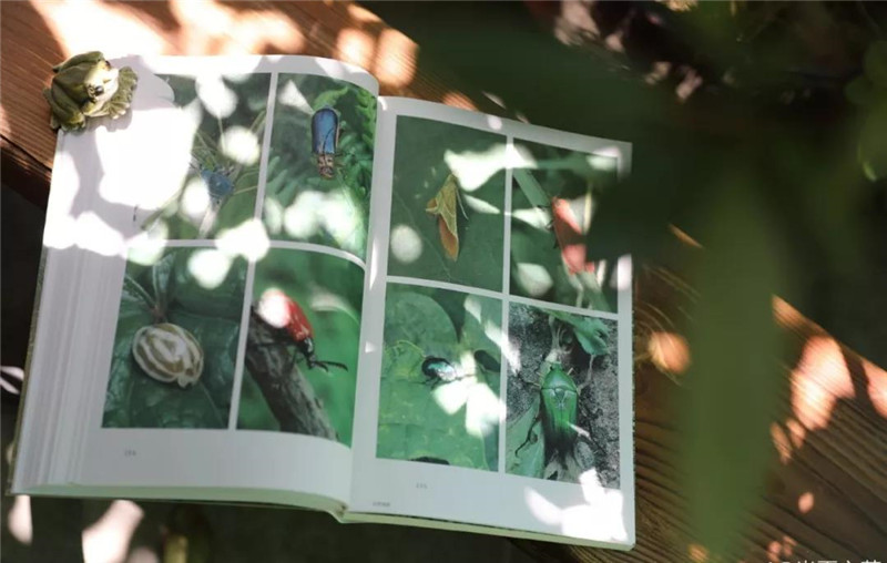 1585887828345330.jpg 1585887828345330.jpg