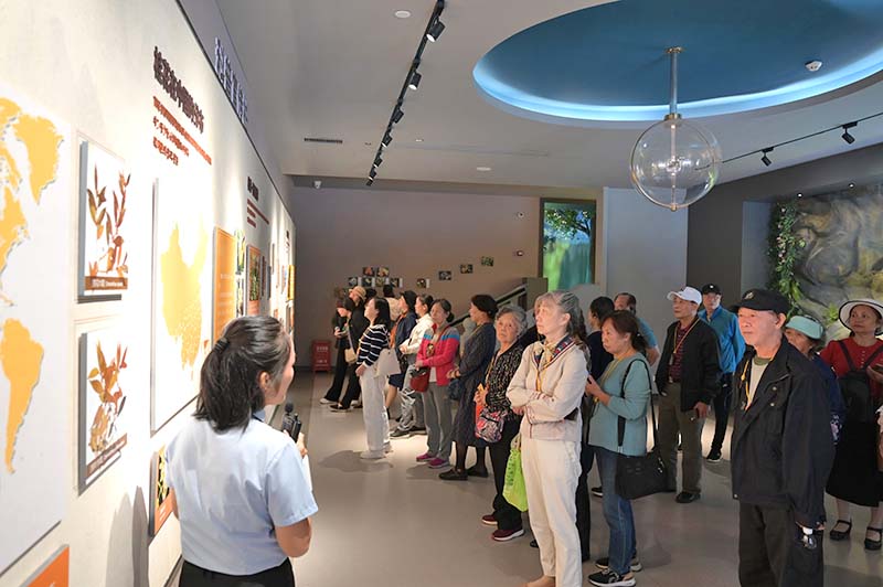 參觀(guān)桂花文化體驗館二A.jpg 參觀(guān)桂花文化體驗館二A.jpg