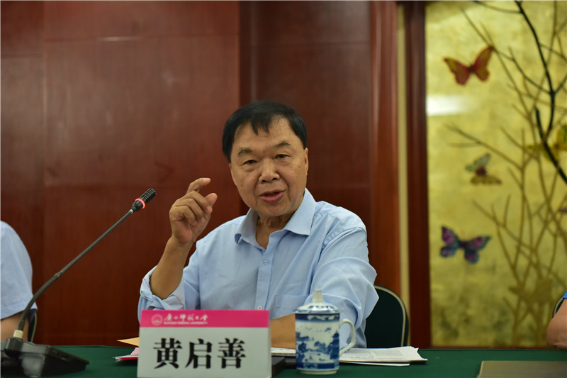 廣西壯族自治區博物館原館長(cháng)、研究館員黃啟善發(fā)言（郭倩 攝）.JPG