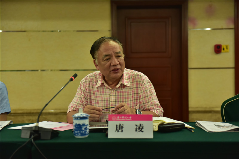 廣西歷史學(xué)會(huì )會(huì )長(cháng)、廣西師范大學(xué)歷史文化與旅游學(xué)院教授唐凌發(fā)言（郭倩 攝）.JPG