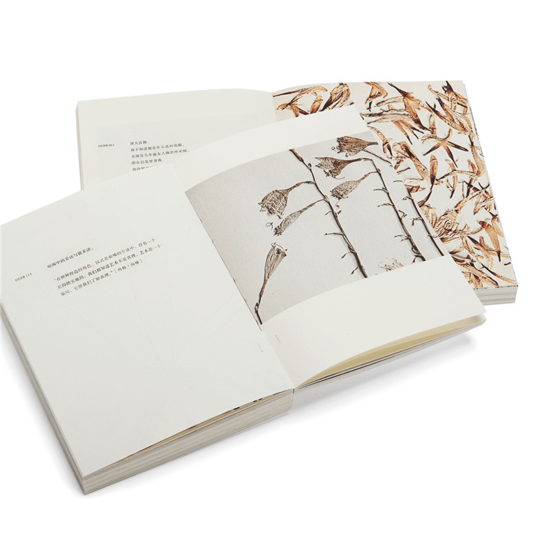 1573986349113517.jpg 草葉 方-010.jpg